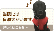 当院には盲導犬がいます