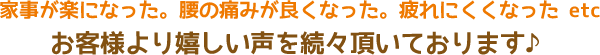 家事が楽になった。腰の痛みが良くなった。疲れにくくなった etc お客様より嬉しい声を続々頂いております♪